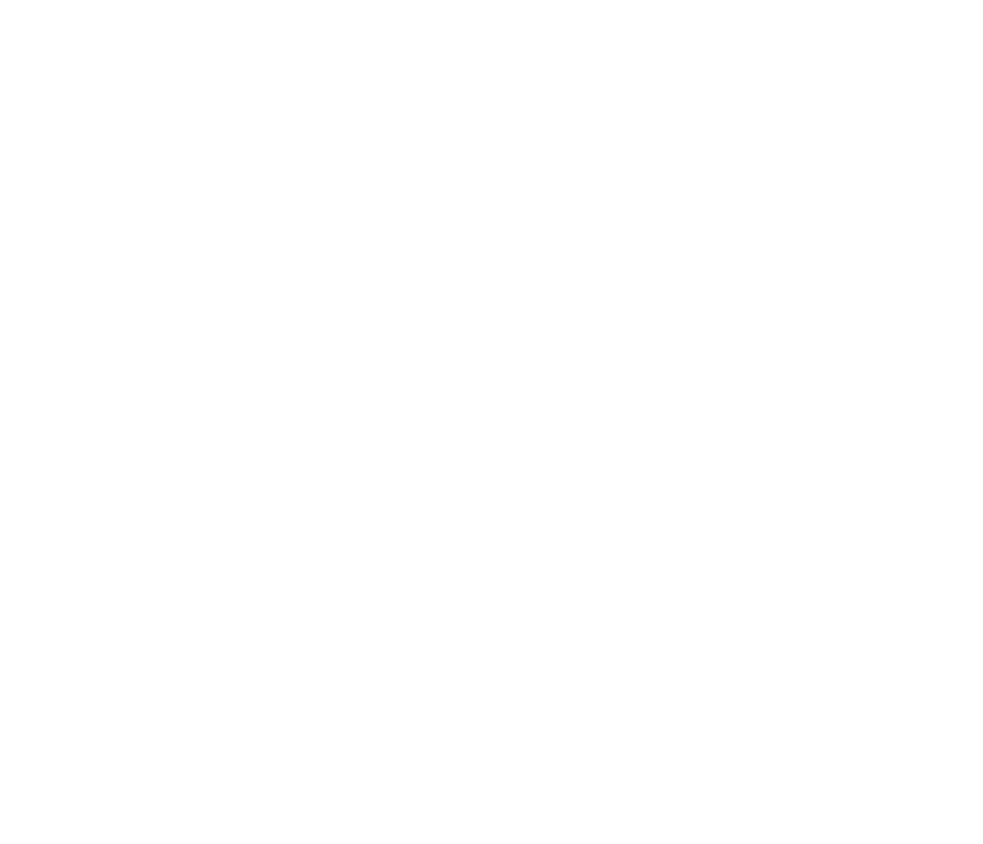 BBU Cleaning LLC.